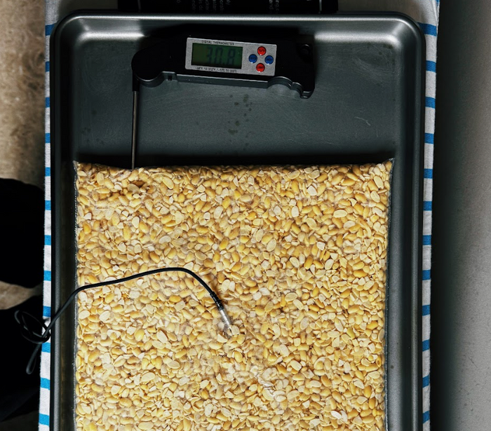 Fermentación controlada