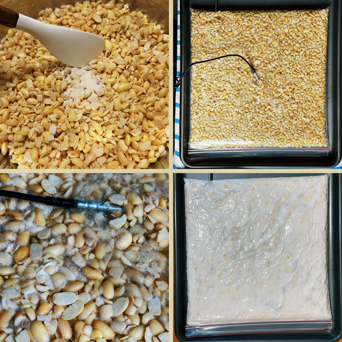 Fermentación con mohos