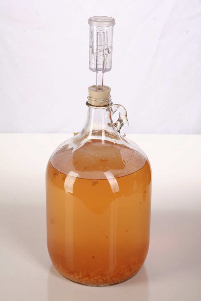 Fermentador de cuello angosto