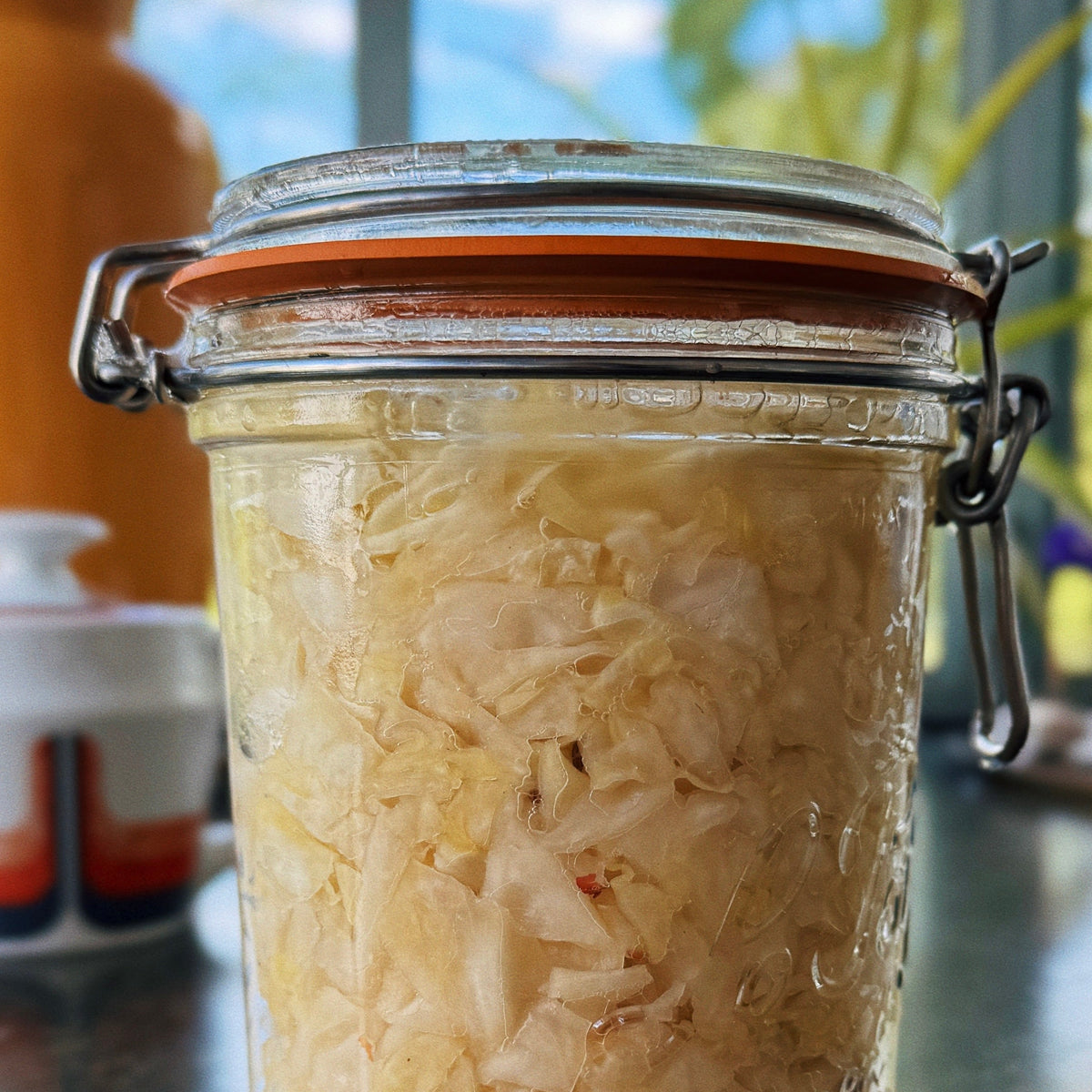 Sauerkraut · Guía interactiva