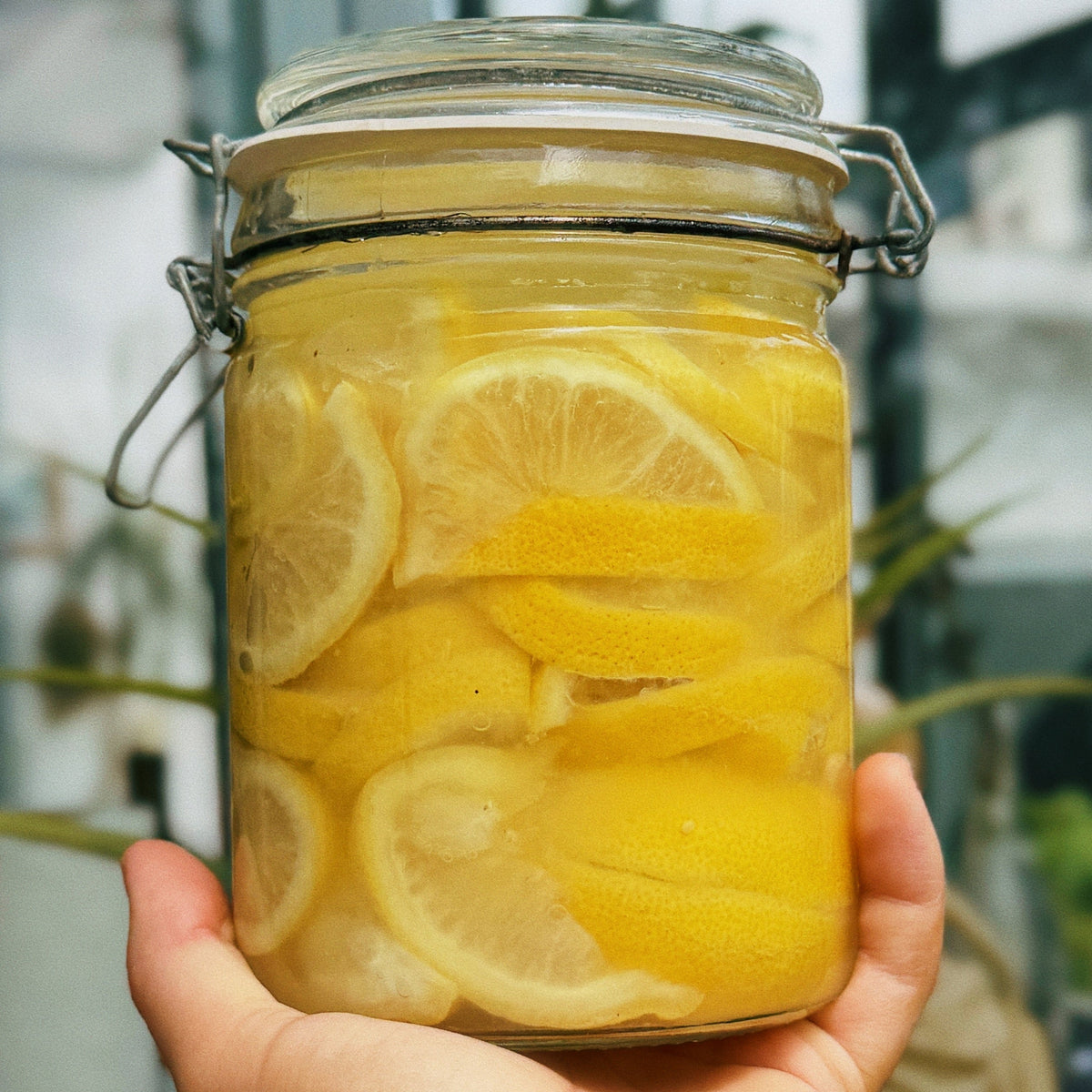 Limones fermentados · Guía interactiva