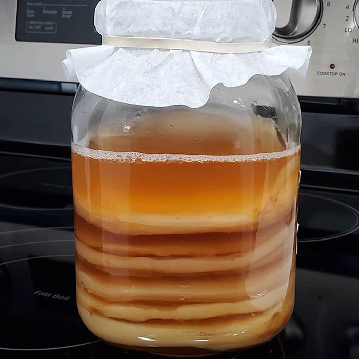 Hotel de SCOBYs