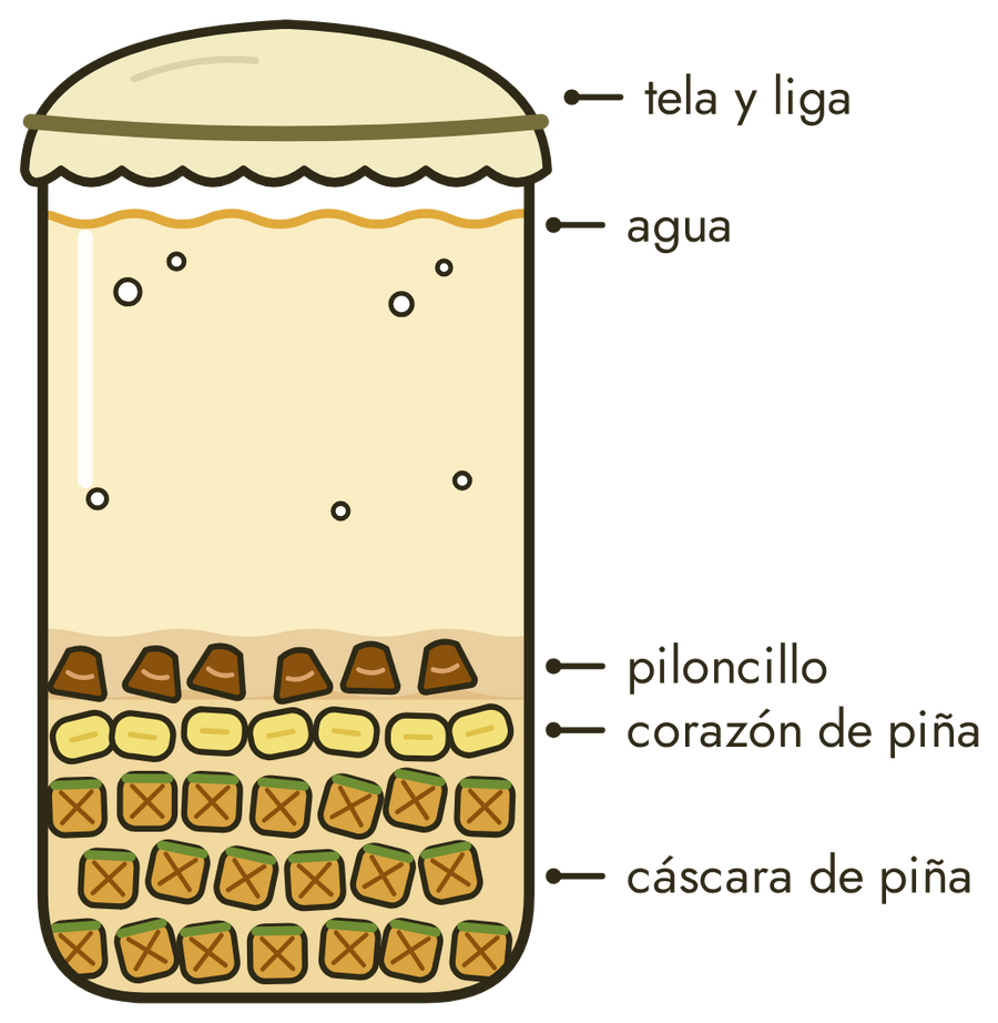 Receta visual de tepache: Tepachito