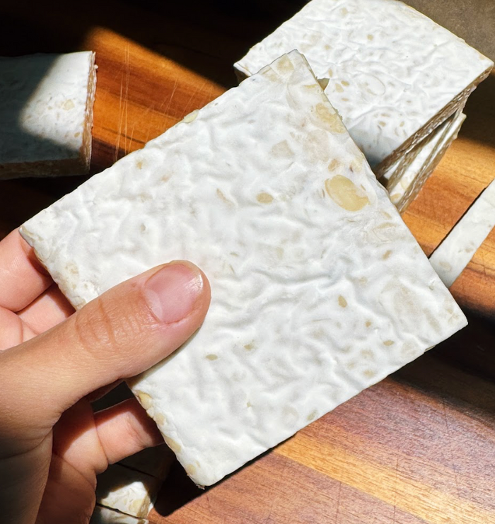 Tempeh / Rhizopus oligosporus