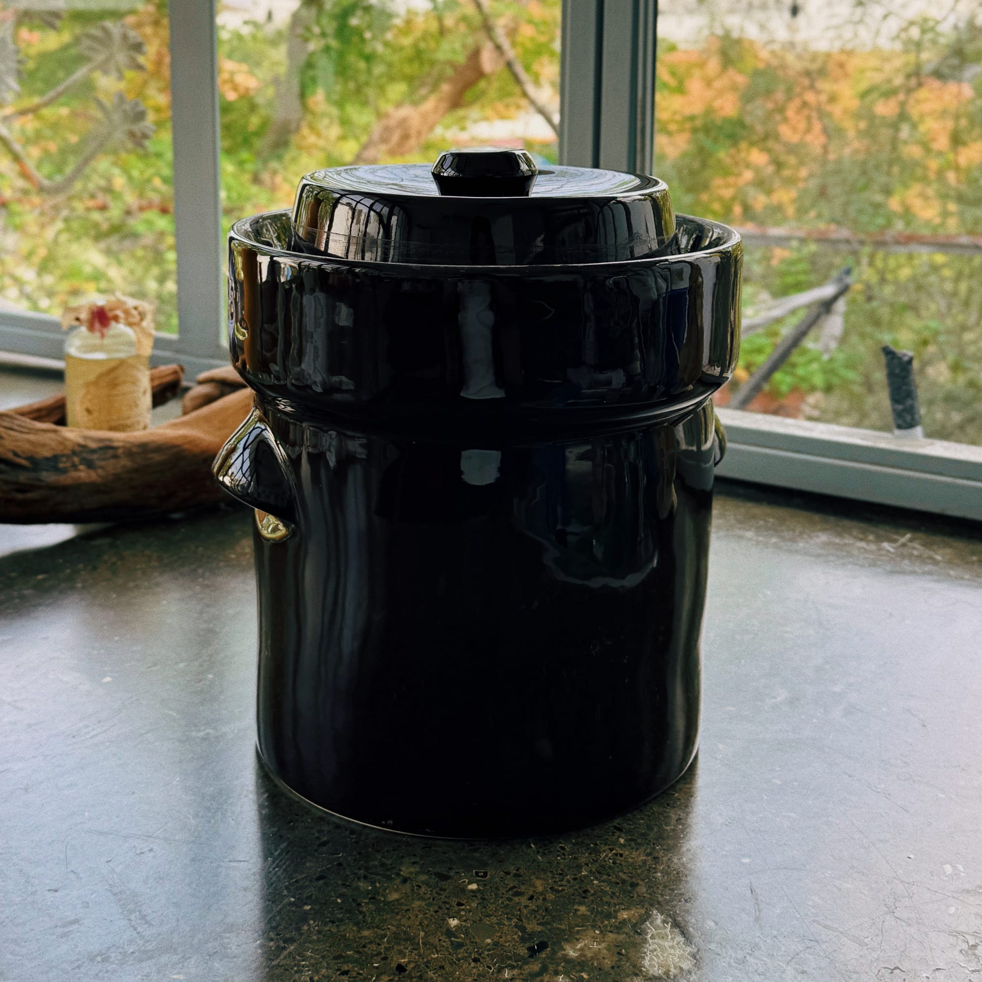 fermentation crock 2.JPG