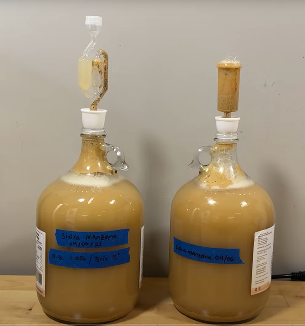 Sidra de Manzana: Guía Práctica / Glosario de Fermentación