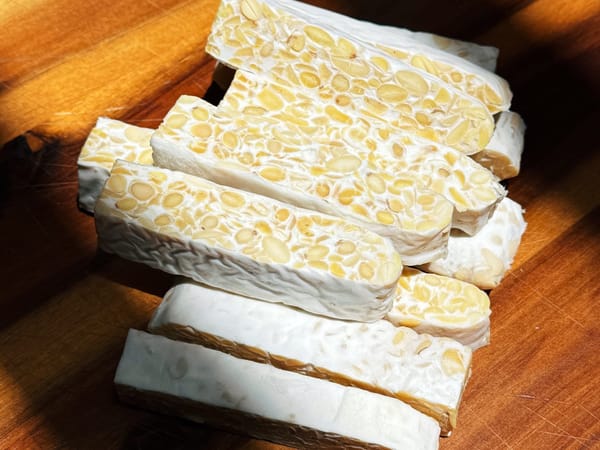 Tempeh