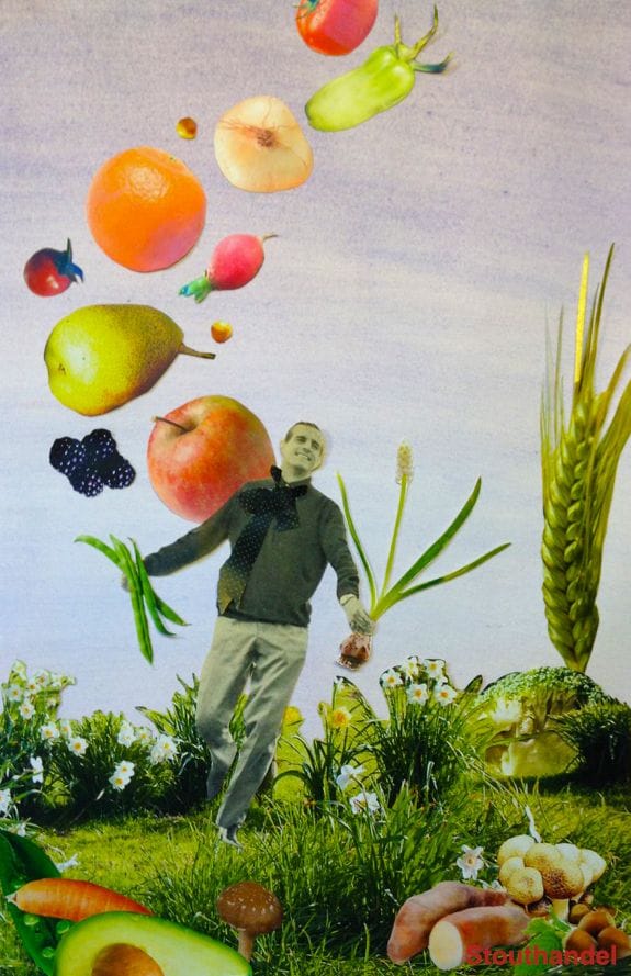 Características Principales de la Permacultura