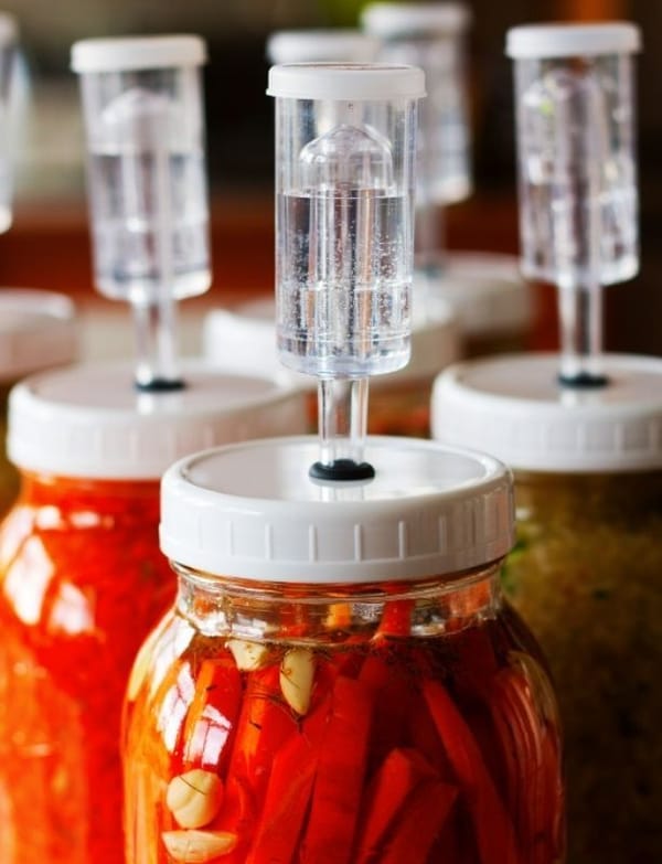 Fermentación anaeróbica