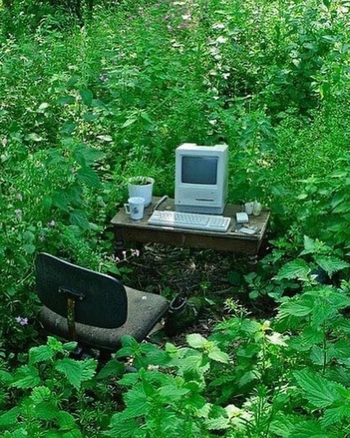 Planificador de huertos